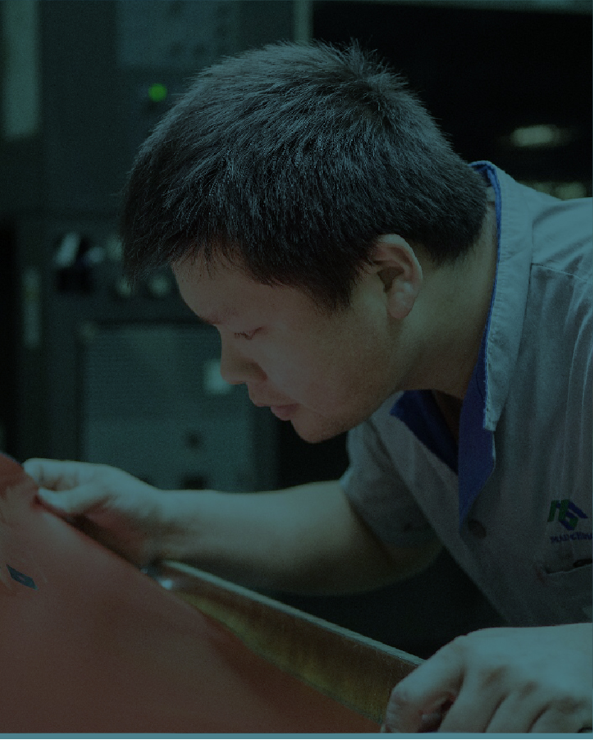 <?php echo pulse_output(); ?>