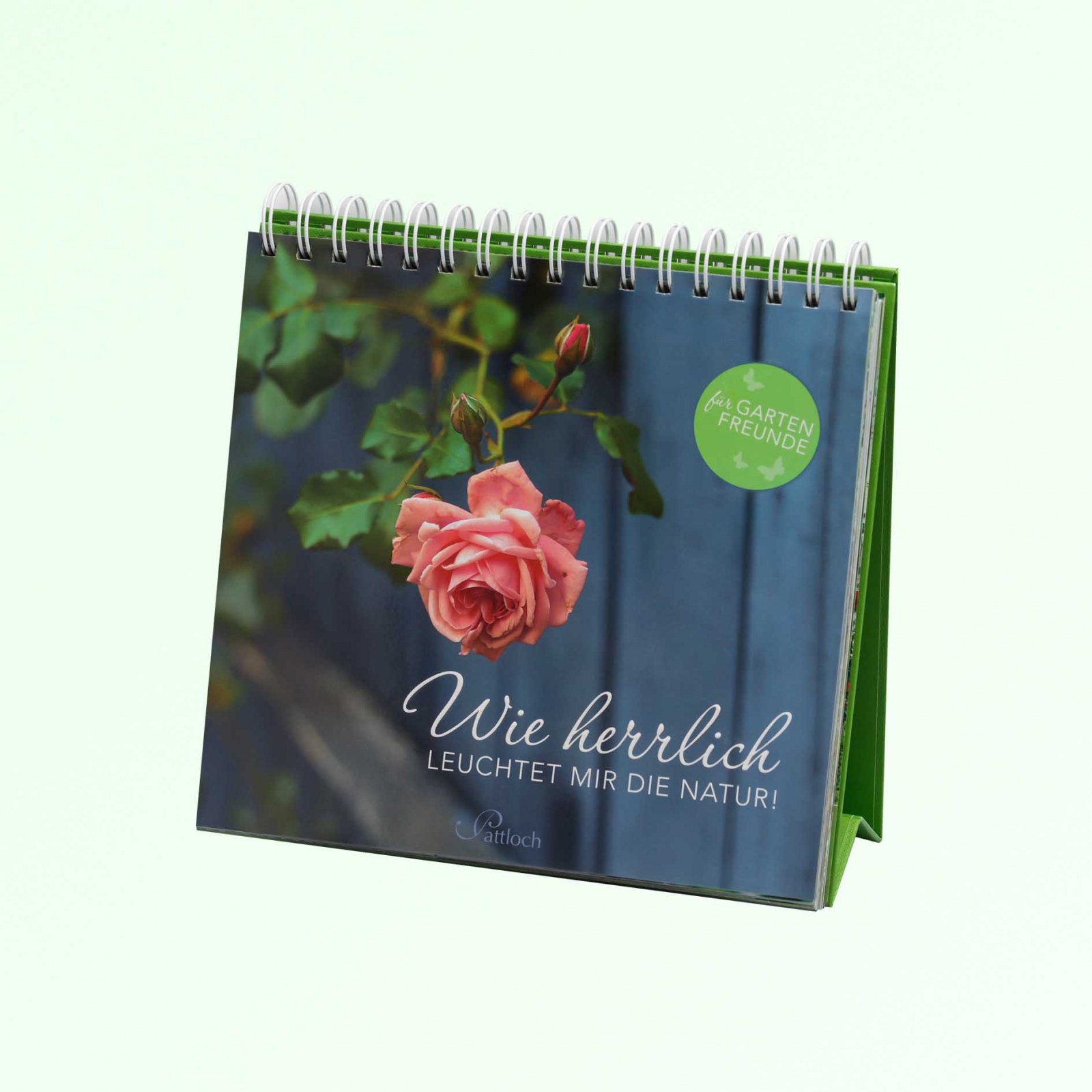 <?php echo pulse_output(); ?>